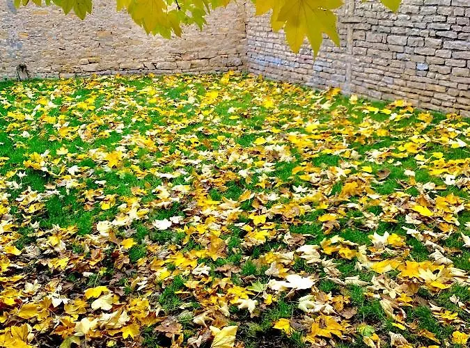 La Ptite Chouette Διαμέρισμα